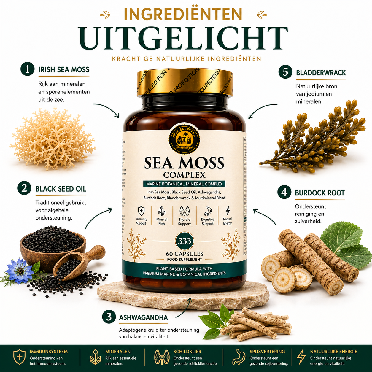 Sea Moss Complex – Premium Marine Botanical Formula - Image 3